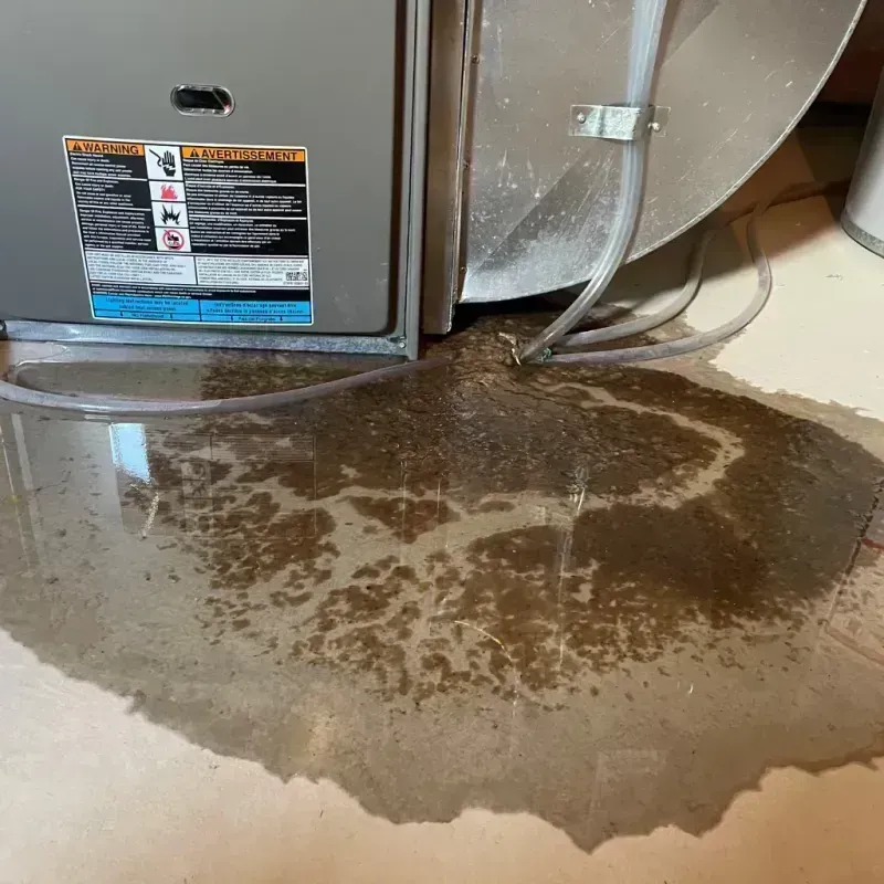 Appliance Leak Cleanup in Franklin Furnace, OH